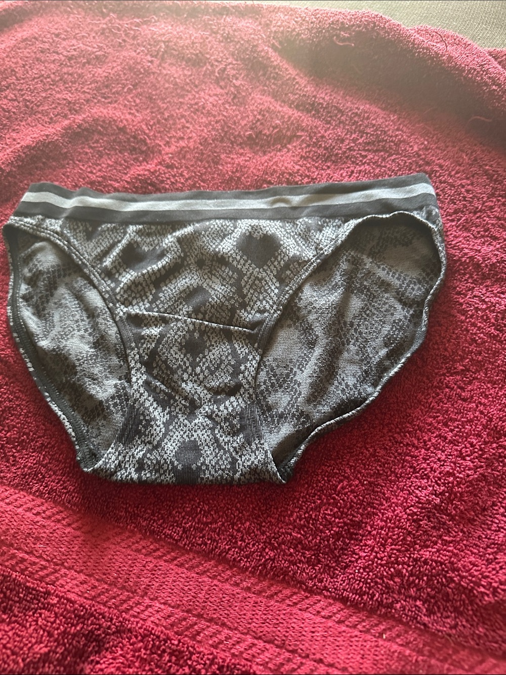 Women’s Gray Snake-Print Bikini Briefs